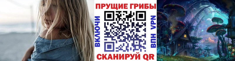 Псилоцибиновые грибы Cubensis  дарнет шоп  Курган 