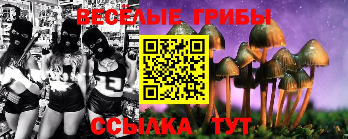 Галлюциногенные грибы Psilocybine cubensis Курган